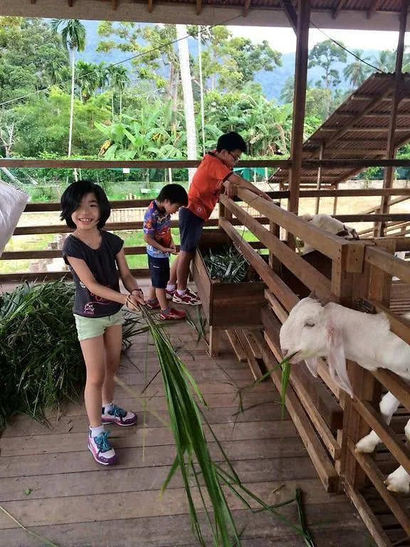 Penang Audi Guesthouse Balik Pulau Alojamento de Turismo Rural